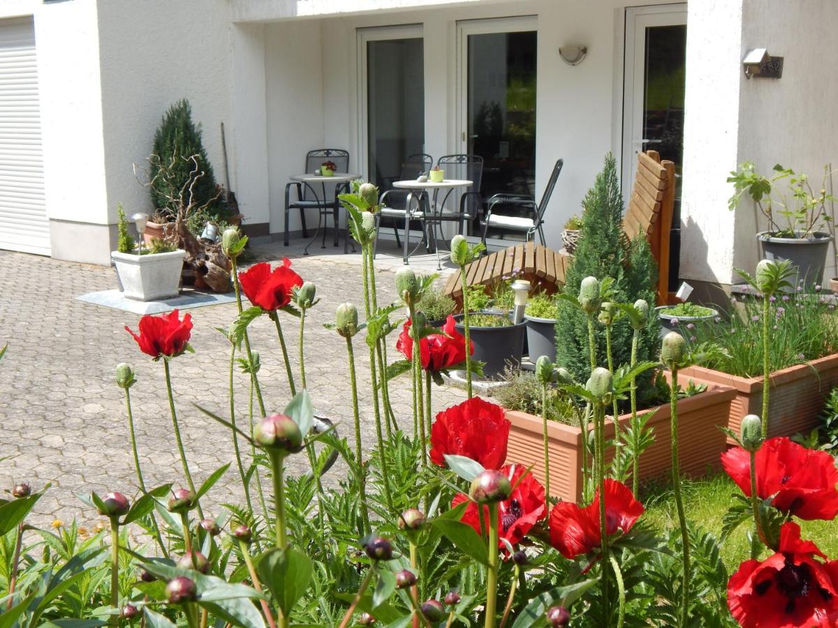 Hotel Garni Am Brunnenplatz 게롤슈타인 외부 사진